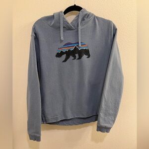 Patagonia Blue Bear Logo Pullover Hoodie